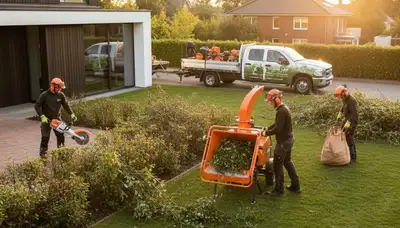Professional shrub removal service in Kissimmee FL clearing overgrown bushes and yard debris