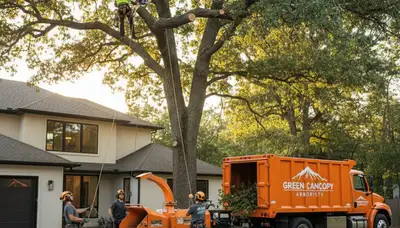 Arborist performing tree removal in Kissimmee, FL for Chop Chop Tree professional tree service